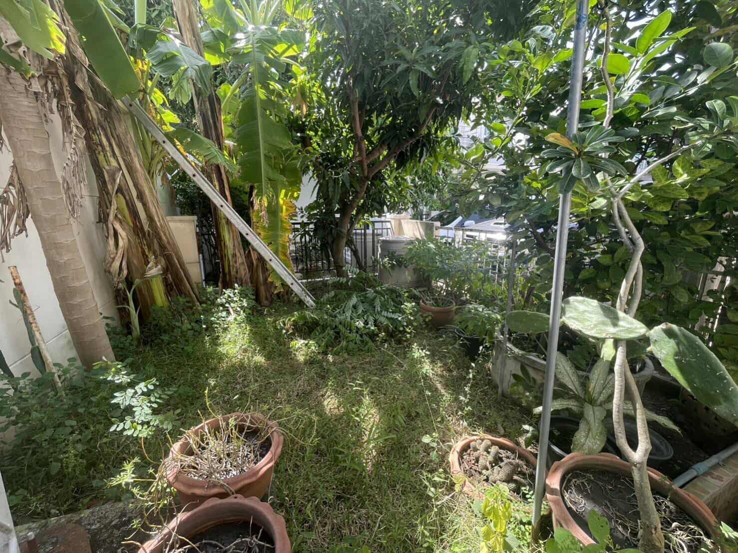 หมู่บ้านเดอะวิลล่า รัตนาธิเบศร์ (ท่าอิฐ) - บ้านแฝดหลังมุม ทำเลดี ใกล้รถไฟฟ้า มีพื้นที่สวน - 30