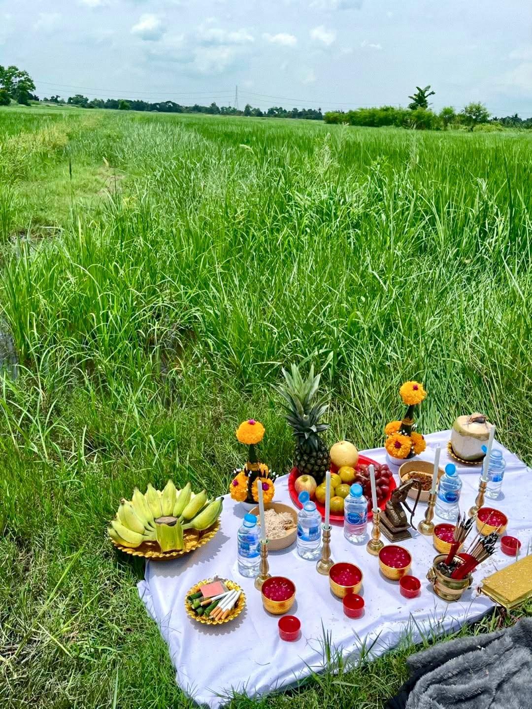 [สายมูจัดเต็ม เสริมพลังทำเลทอง / ที่ดินแปลงใหญ่ 40 ไร่] ขายที่ดินติดถนนประชาสำราญ ต.ลำไทร อ.ลำลูกกา จ.ปทุมธานี (เชื่อมต่อ หนองจอก - ลำลูกกา - คูคต) - 8
