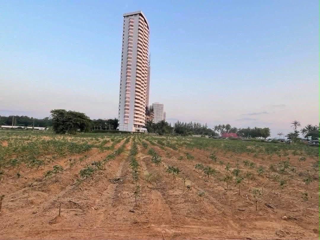 ที่ดิน พัทยา – หน้าสุขุมวิท หลังติดทะเลจอมเทียน - 3