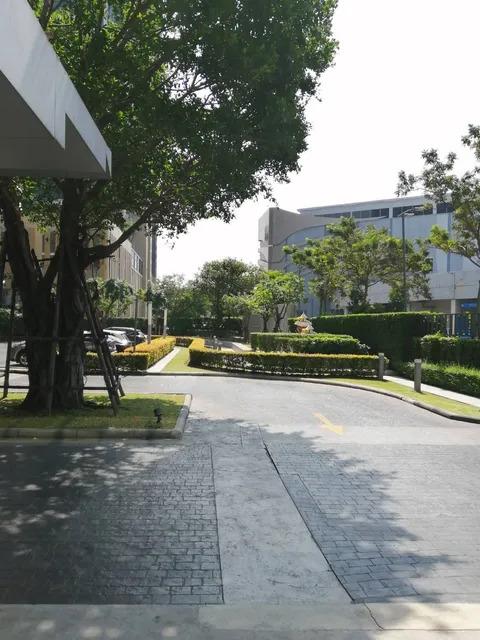 ขายต่ำกว่าราคาประเมิน!! Plum Condo Central Station Phase 1 📍 ติดเซ็นทรัล เวสต์เกต และ MRT สายสีม่วง - 18