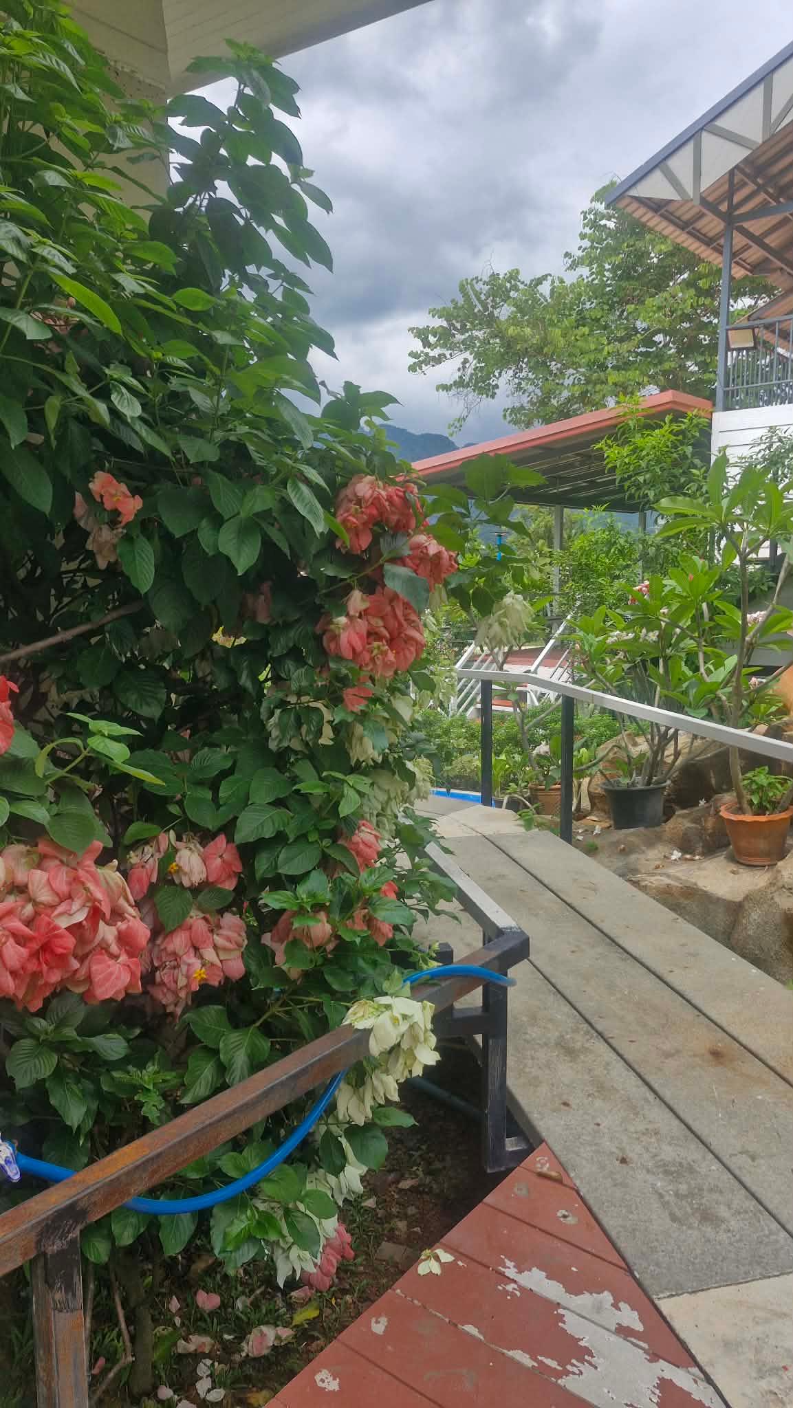 บ้านพักตากอากาศ ทำเลสวยมาก ล้อมรอบด้วยภูเขา ใกล้เขาใหญ่ – โครงการ Balcony Khao Yai - 13