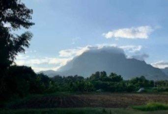 ที่ดินเปล่าแปลงมุม 159 ตรว. วิวดอยหลวงเชียงดาวสวยสะกดตา ทำเลดีตรงข้ามโรงเรียนแม่นะ - 6