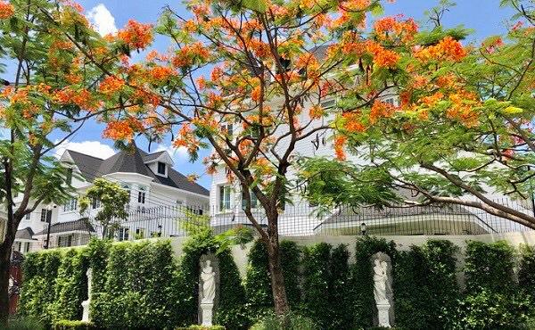 ขายบ้านเดี่ยวหลังใหญ่ 3 ชั้น สวยหรูสไตล์ยุโรป โครงการ แฟนตาเซีย วิลล่า 4 บางนา-ศรีนครินทร์ ในสังคม International น่าอยู่หรือลงทุนให้เช่าก็คุ้มค่า - 14