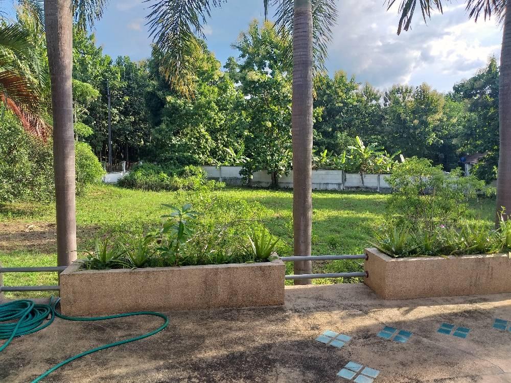 ขายพูลวิลล่าหรูตากอากาศสไตล์รีสอร์ต พร้อมเรือนรับรองแยกส่วน บนที่ดินผืนใหญ่ 2 ไร่ 3 งาน (โฉนด 2 แปลง) วิวภูเขาหลังบ้าน ซอยเดียวกับโรงเรียนนานาชาติเปรมฯ แม่ริม เชียงใหม่ - 4