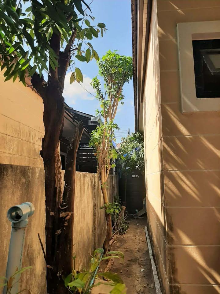 บ้านแฝด ภูเก็ต💥 ทำเลทองถลาง-ศรีสุนทร น้ำไม่ท่วม 100% 36 ตรว. | 2 นอน 2 น้ำ | สภาพนางฟ้า - 10