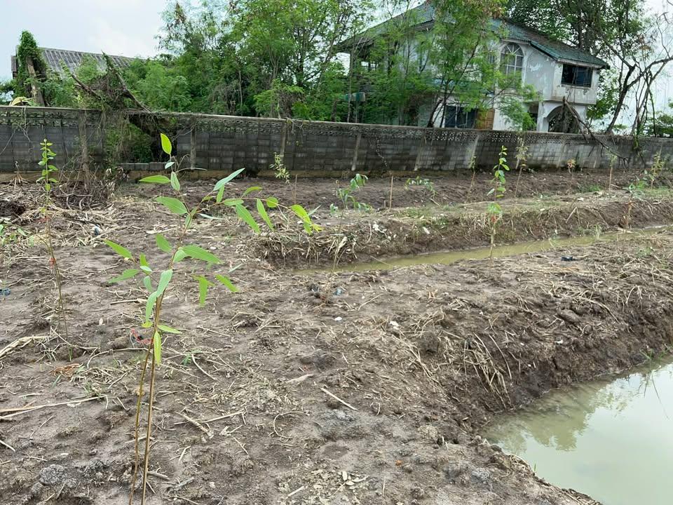 ที่ดิน 1 ไร่เศษ @นิมิตรใหม่ (ซอยนิมิตรใหม่ 40) เขตคลองสามวา - 4