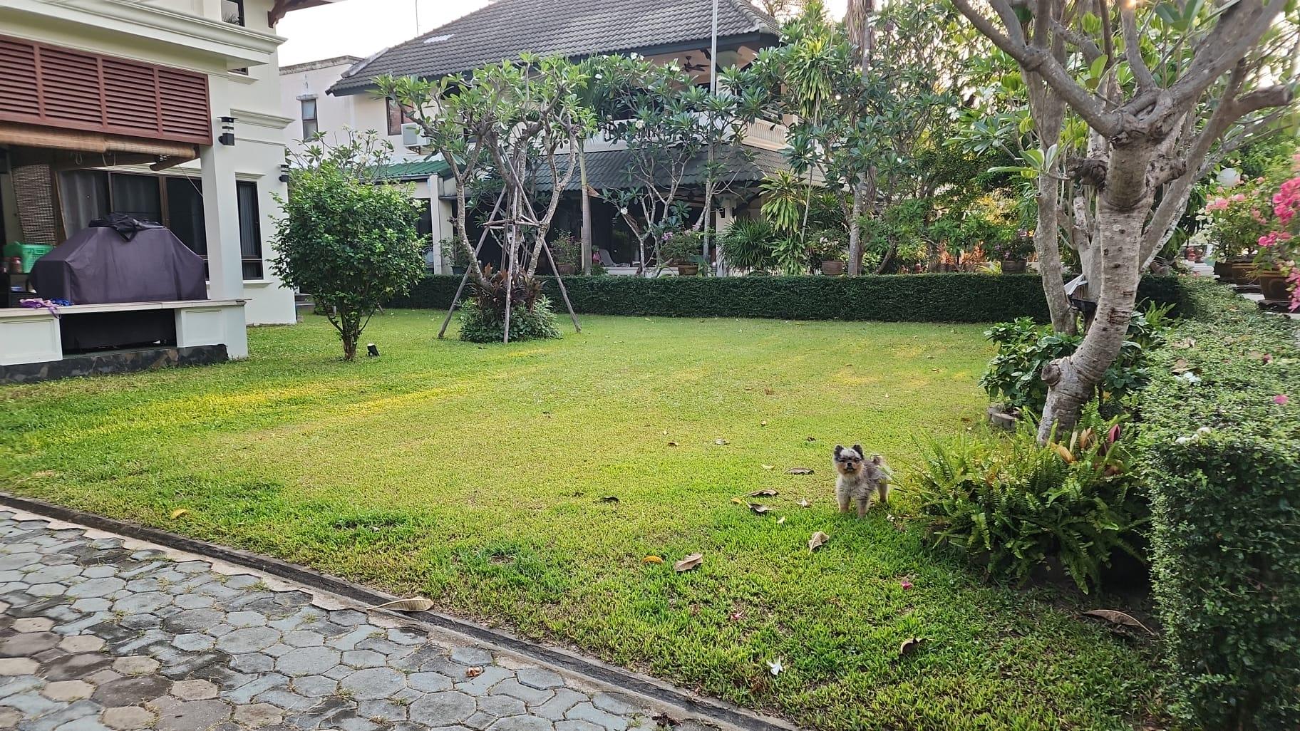 บ้านเดี่ยว 3 ห้องนอน ในโครงการ Baan Somprasong (บ้านสมประสงค์) - 5