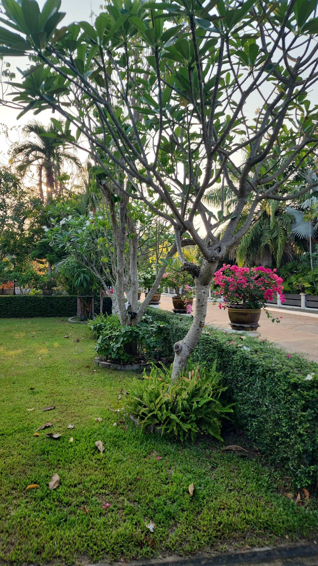 บ้านเดี่ยว 3 ห้องนอน ในโครงการ Baan Somprasong (บ้านสมประสงค์) - 7