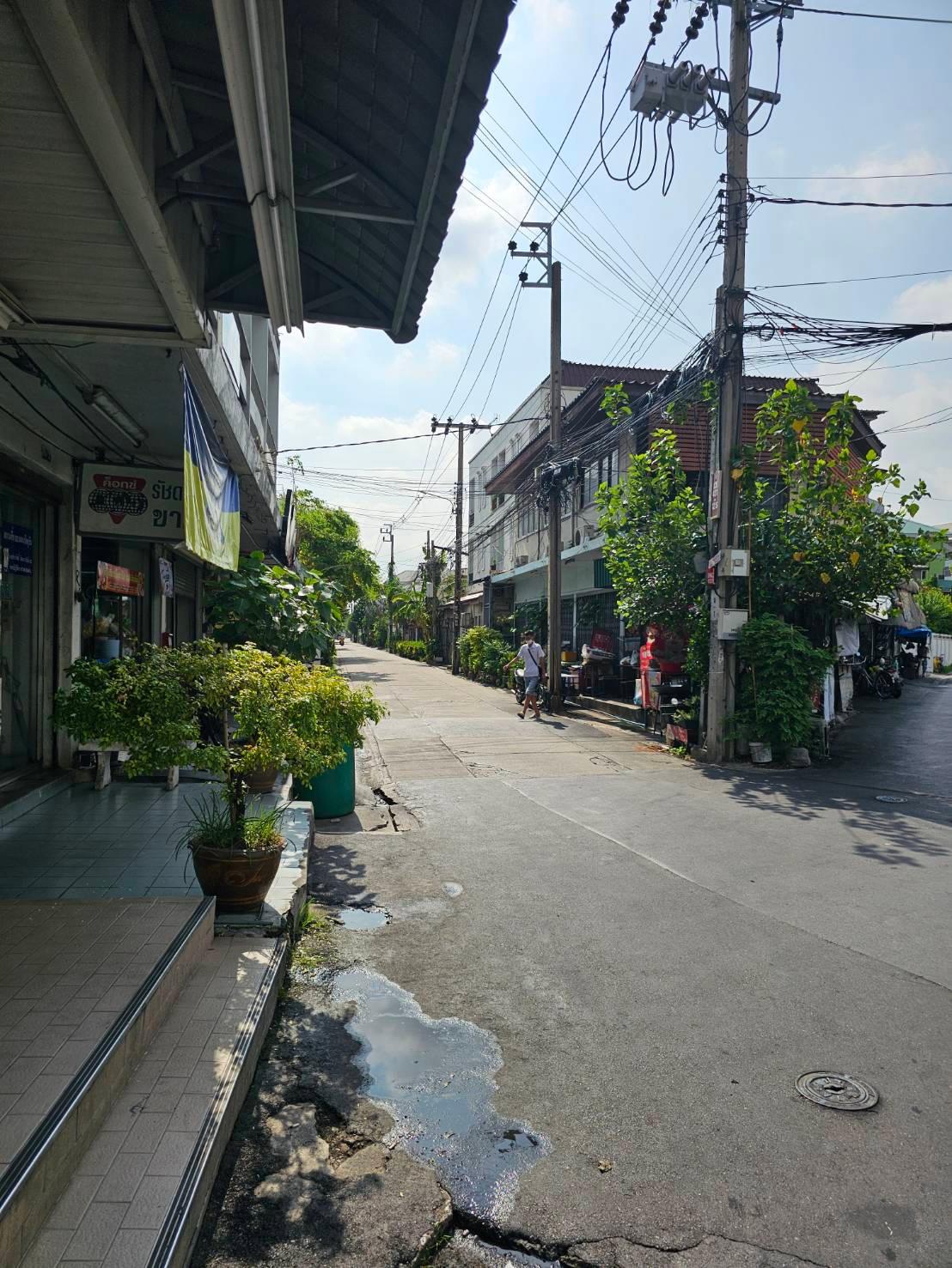 House No. 4 บ้านเดี่ยวแปลงสวยและที่ดินศักยภาพสูงเพื่อการพัฒนา - พหลโยธิน 44 - 10