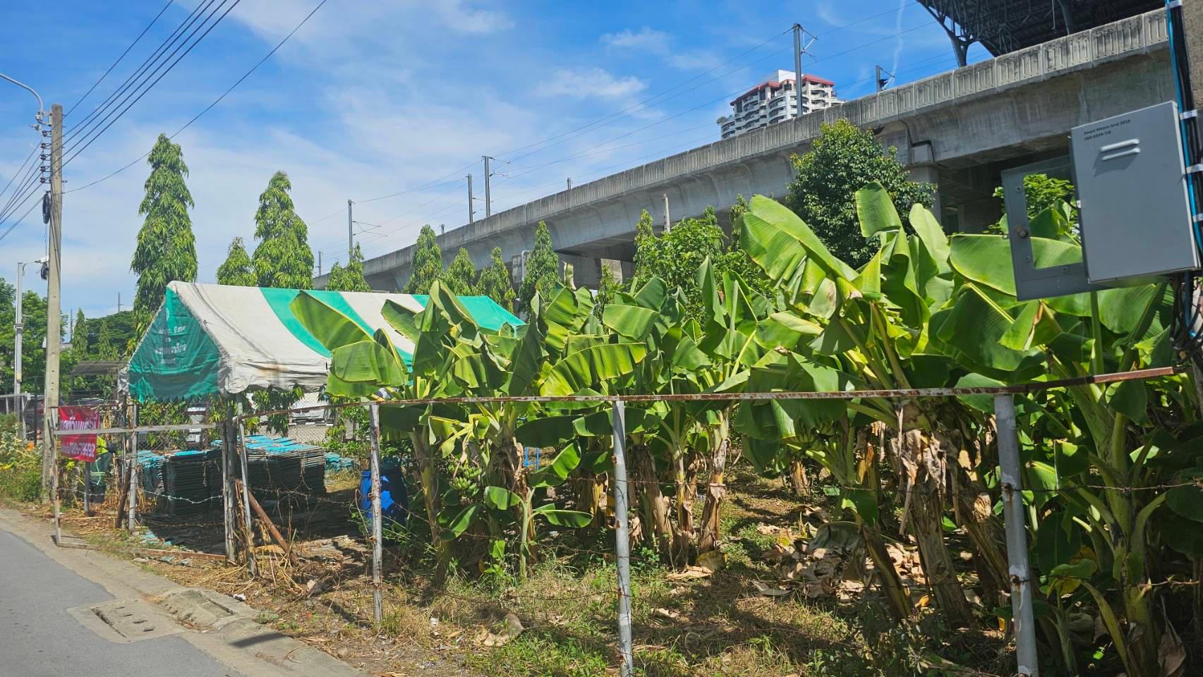 ขายที่ดินเปล่าแปลงสวย 101 ตารางวา ซอยสงบสุข ทำเลทองติด ARL/MRT หัวหมาก และติดตลาด เดินทางสะดวก สังคมสงบน่าอยู่ - 9