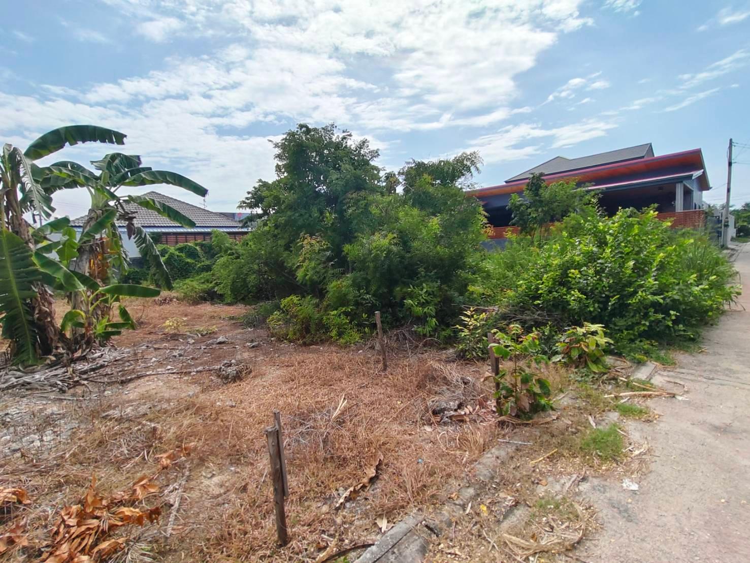 ขายที่ดินเปล่าทำเลไข่แดงใจกลางเมืองระยอง แปลงละ 60 ตร.วา (มี 2 แปลงติดกัน) ซอยข้างอำเภอ 8/3 หลัง ร.ร.ระยองวิทยาคม - 5