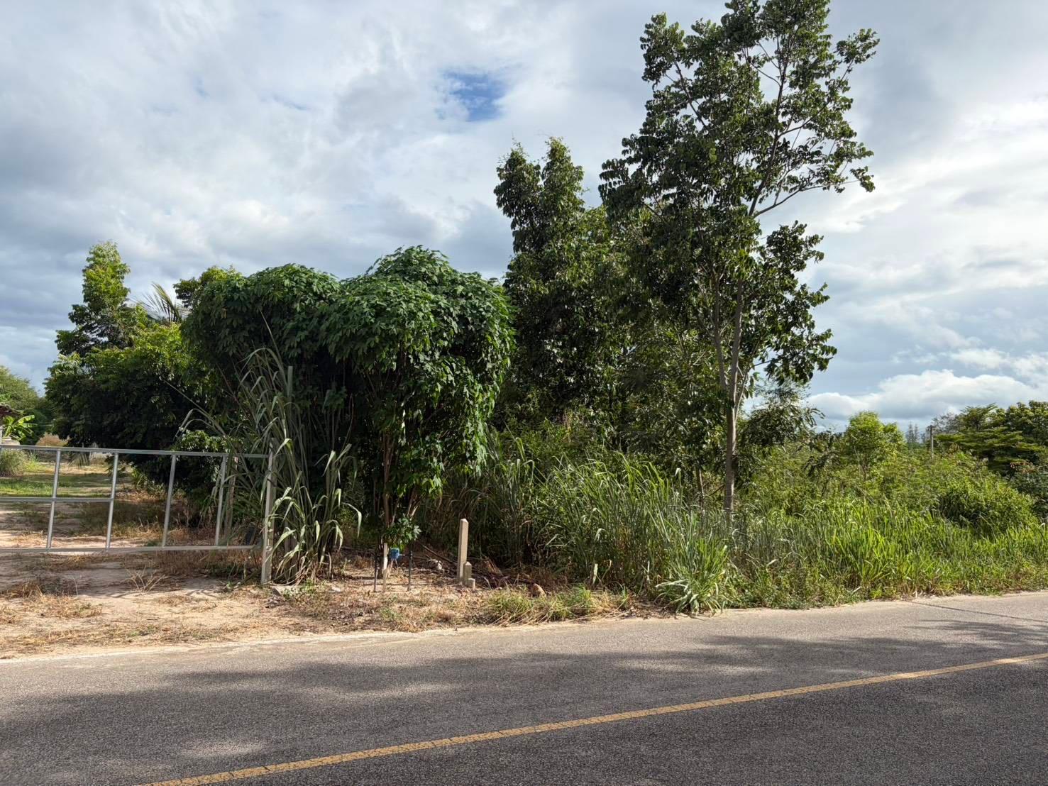 ขายที่ดินสวนผึ้ง ราชบุรี 10 ไร่ 1 งาน 67 ตร.ว. โฉนดครุฑแดง เหมาะสำหรับทำธุรกิจรีสอร์ต คาเฟ่ในสวนป่า และโฮมสเตย์เชิงธรรมชาติ (ติดถนนลาดยาง น้ำ-ไฟครบ) ขายแยกแปลง /ขายยกแปลง - 3