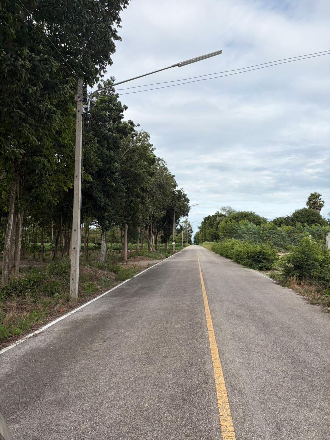 ขายที่ดินสวนผึ้ง ราชบุรี 10 ไร่ 1 งาน 67 ตร.ว. โฉนดครุฑแดง เหมาะสำหรับทำธุรกิจรีสอร์ต คาเฟ่ในสวนป่า และโฮมสเตย์เชิงธรรมชาติ (ติดถนนลาดยาง น้ำ-ไฟครบ) ขายแยกแปลง /ขายยกแปลง - 6